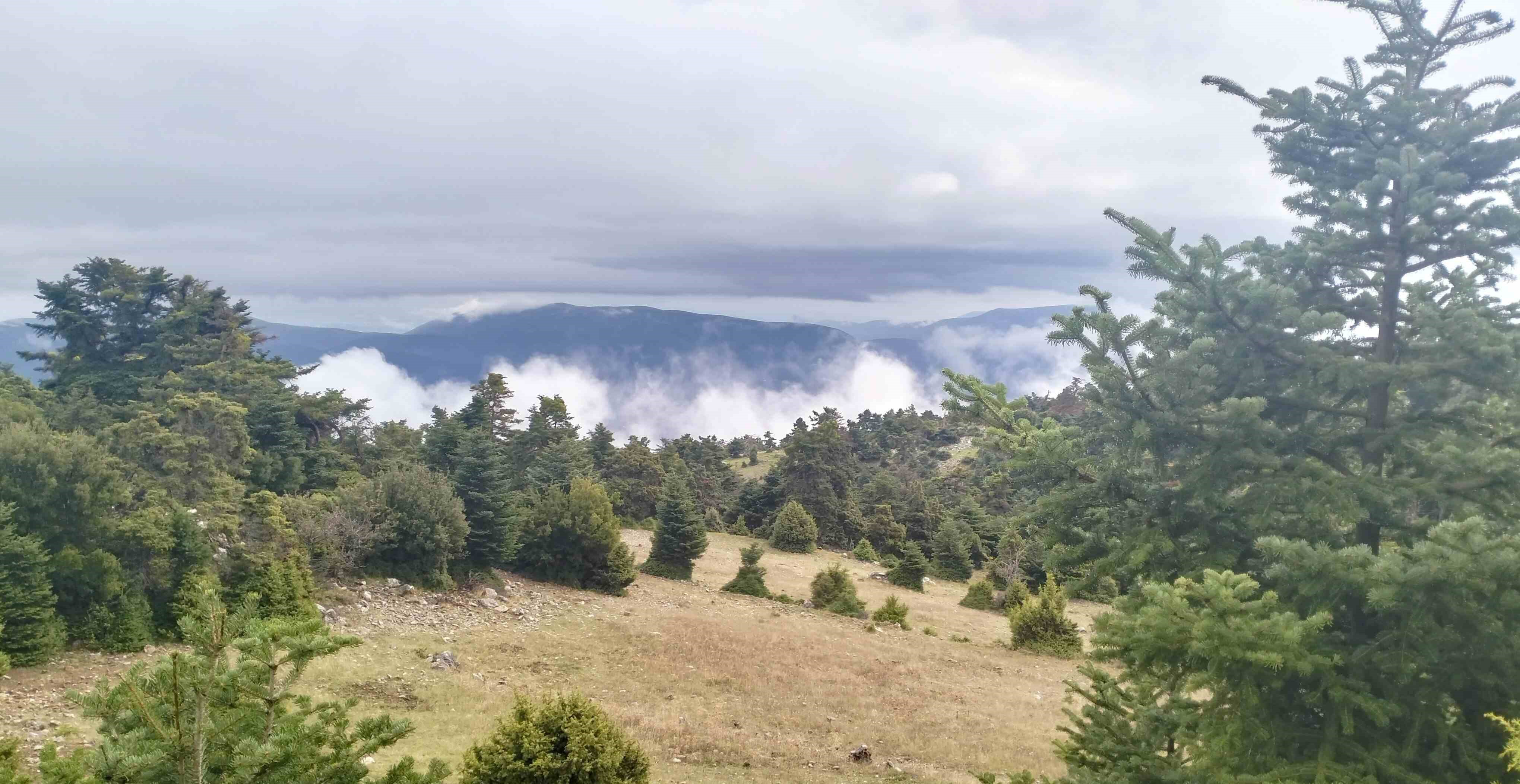 ΠΑΡΝΗΘΑ 14/12/2025